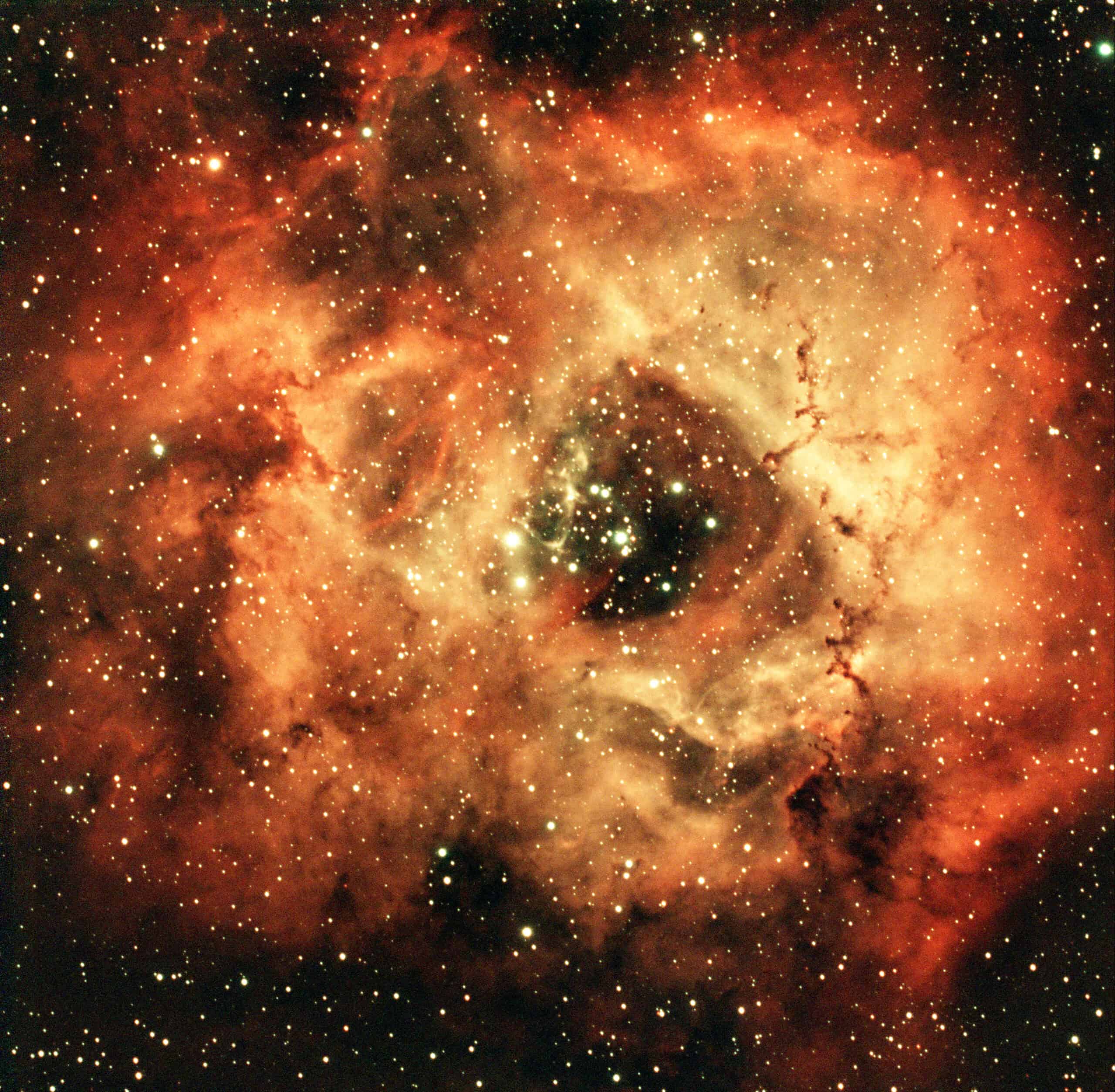 Rosette Nebula photographed with an ASI533MC Pro and SV503 70mm refractor from a Bortle 9 sky in Florida