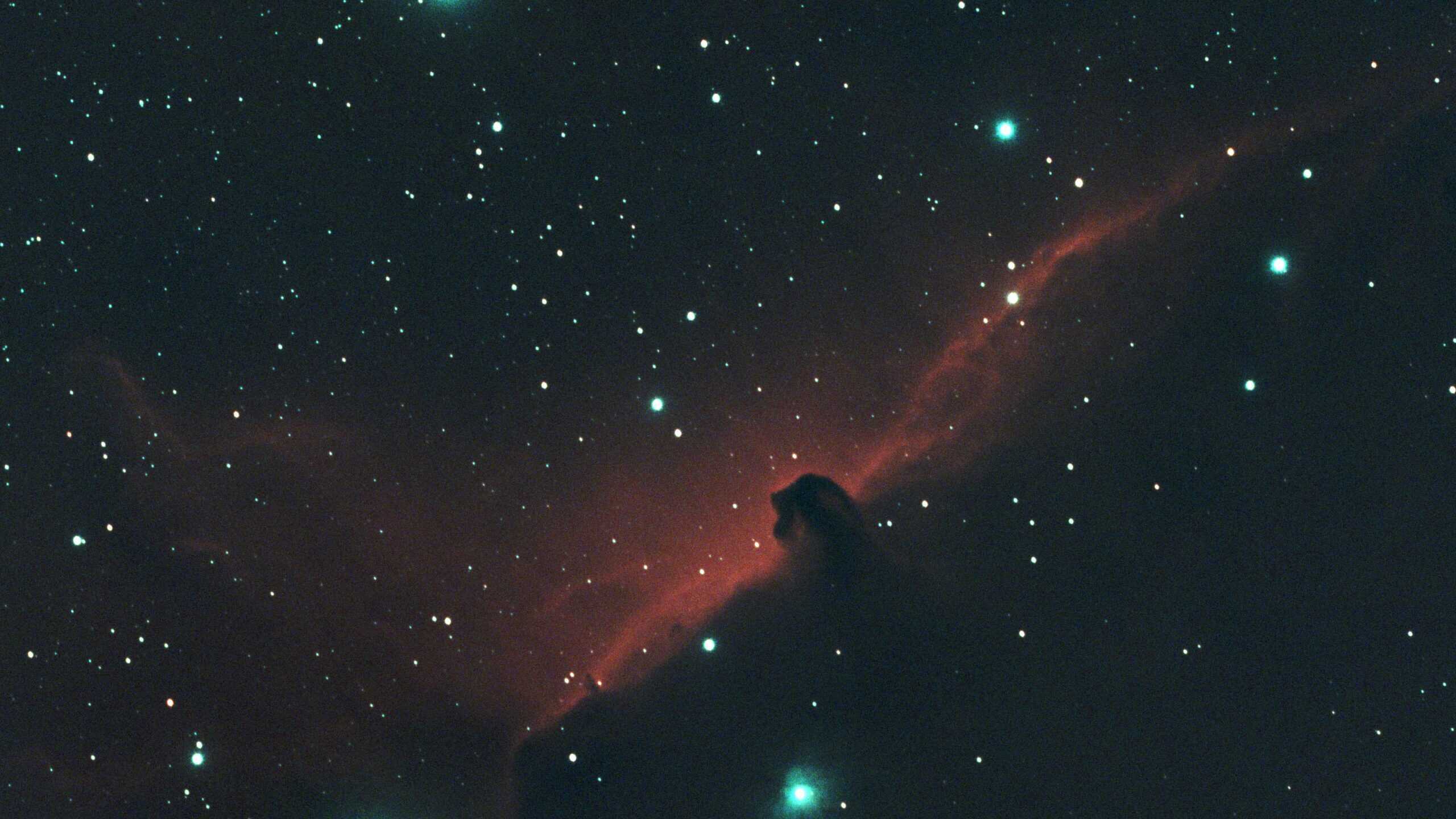 The Horsehead Nebula imaged from a Bortle 9 sky in Florida