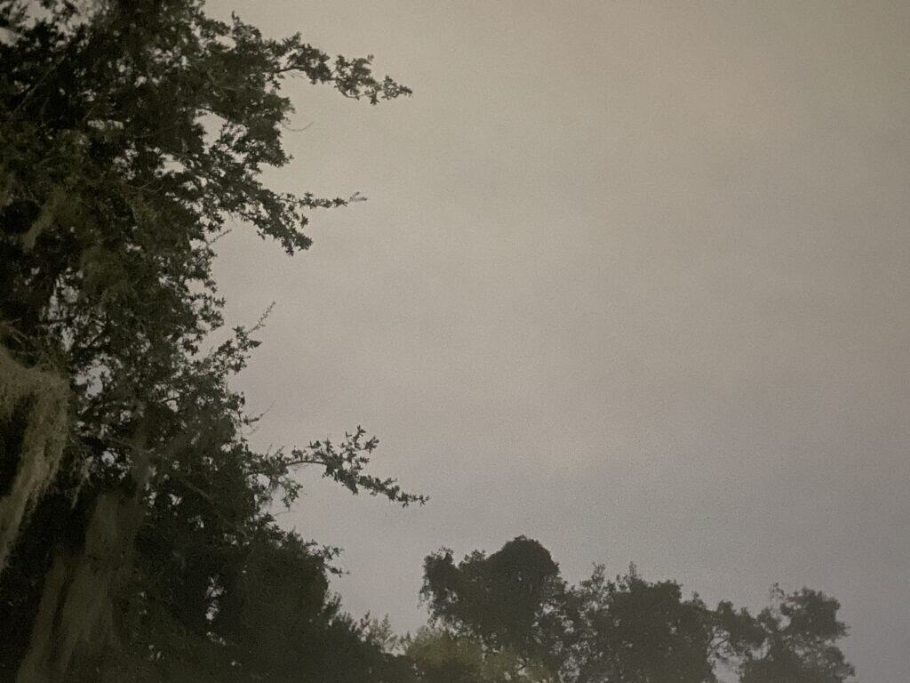 Fully overcast night sky glowing from light pollution above Florida trees with Spanish moss