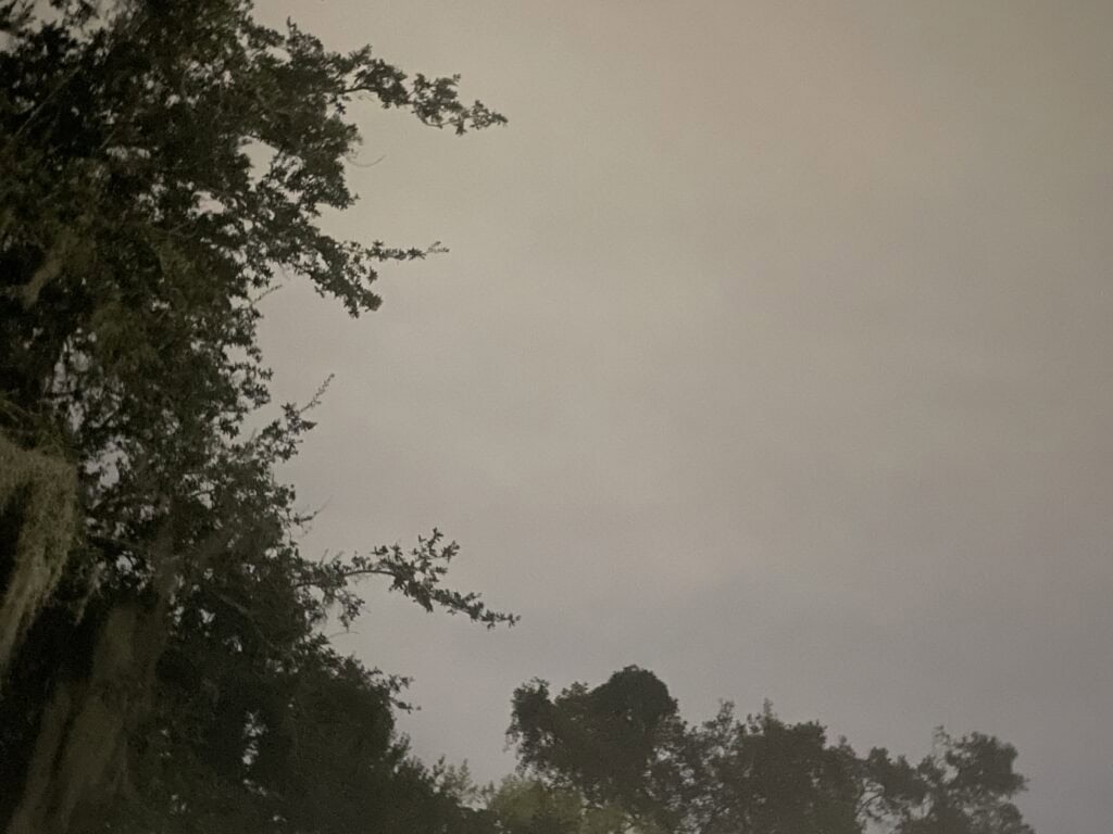 Trees crowding the edges of an open patch of sky in a light-polluted backyard