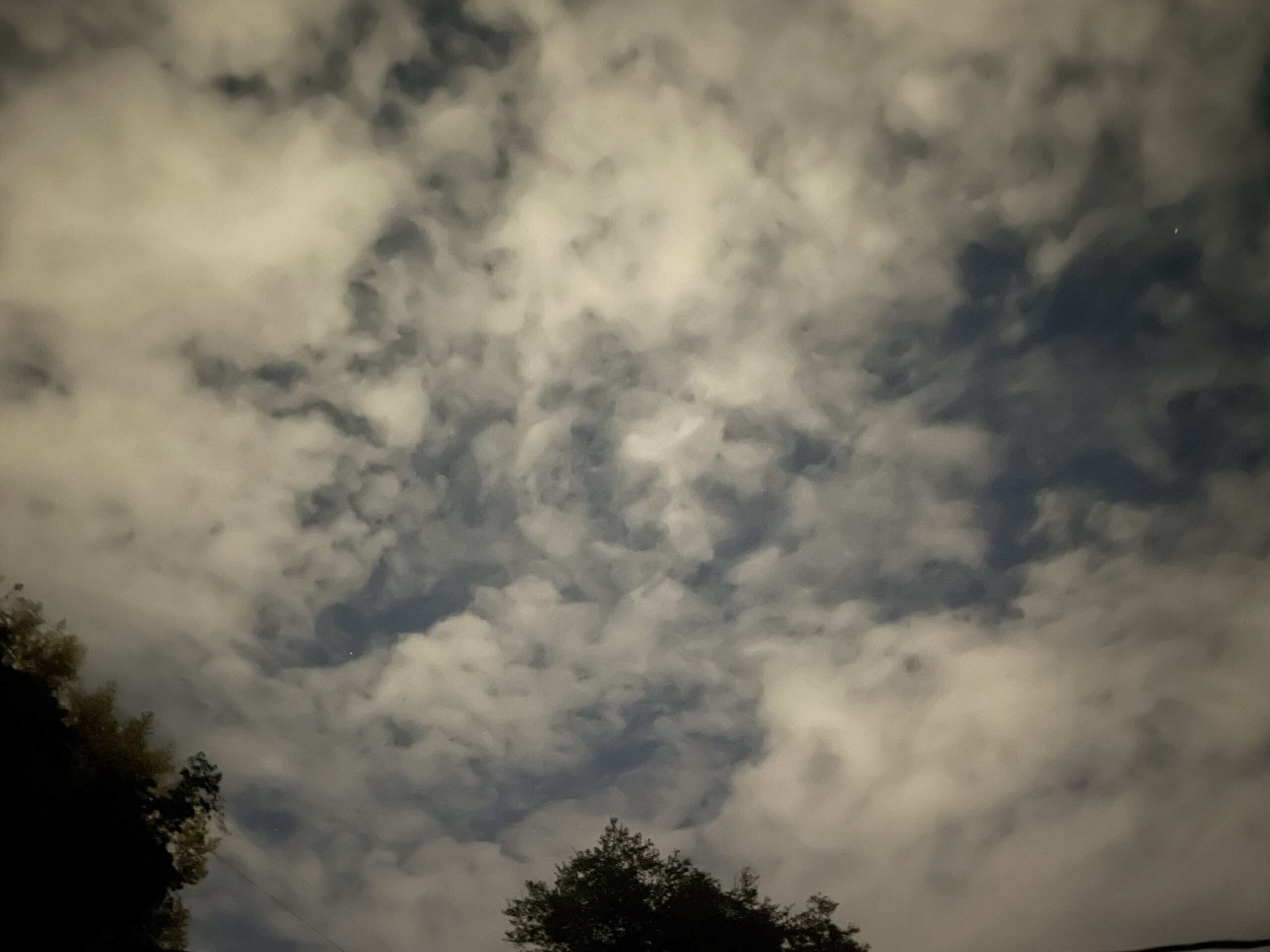 Patchy clouds glowing from light pollution over a Florida backyard at night, with a few stars visible through the gaps