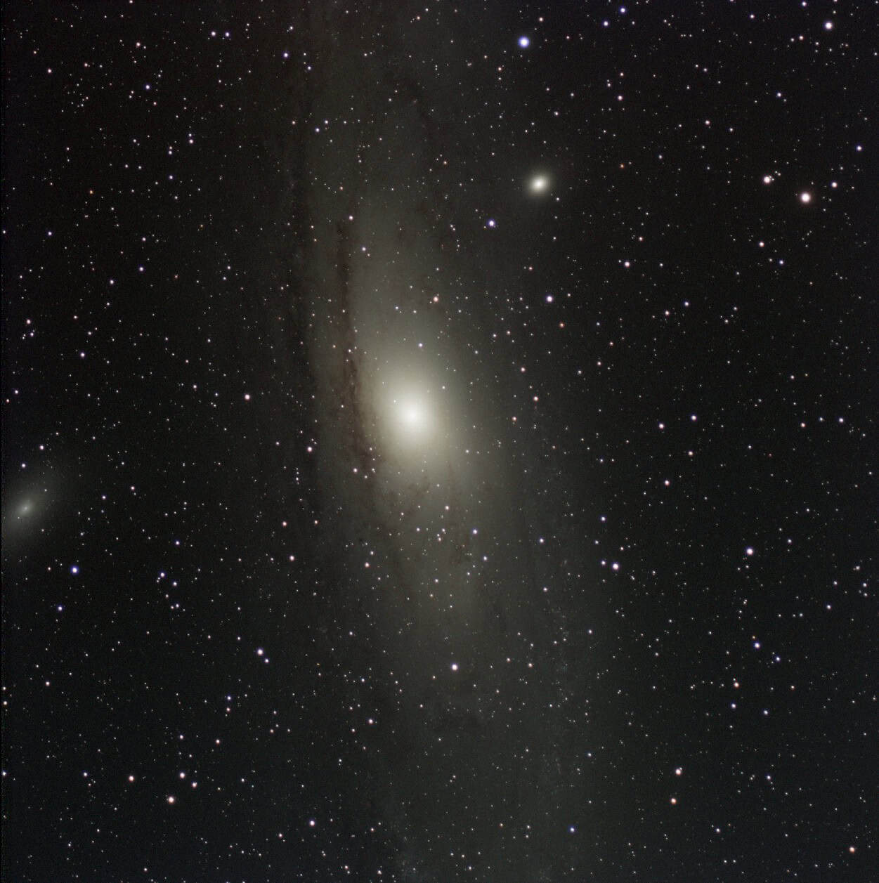 Andromeda Galaxy (M31) stacked in Siril from a Bortle 9 backyard, showing dust lanes, M32 and M110